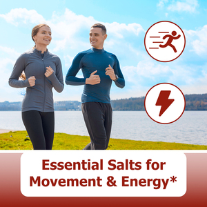 New Hot Selling Electrolyte Oral strips Essential Salts for Movement Energy and Maintain Proper Hydration Balance Oral film - Product Image 3