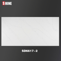 Surface en quartz certifiée NSF pour applications commerciales