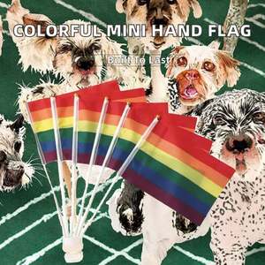 Banderas de Arcoíris Impresas Digitalmente a Doble Cara Multicolores Baratas de Alta Calidad, Banderas de Mano Pequeñas de Poliéster de 14x21 cm de Todos los Países - Product Image 2