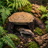 Décoration de terrarium naturaliste en résine, motif racine d'arbre, grande grotte cachette pour reptiles, amfibies et aquariums