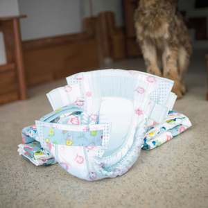 Pañales Absorbentes para Perros, Machos y Hembras, para Perros Pequeños y Grandes, Venta al por Mayor - Product Image 3