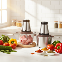 Mini hachoir à viande électrique en acier inoxydable, hachoir alimentaire domestique, moteur à courant continu, vitesse variable, capacité de 2,1 à 3 L, puissance de 500 W, faible bruit