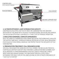 Machine automatique commerciale pour enlever les écailles de poisson, nettoyer les écailles de poisson, peau de croaker jaune, écailles de tilapia, écailles de poisson tambour