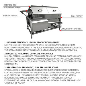 Machine automatique commerciale pour enlever les écailles de poisson, nettoyer les écailles de poisson, peau de croaker jaune, écailles de tilapia, écailles de poisson tambour - Product Image 3