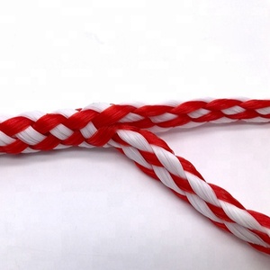 Dây nhà máy làm cho PP Lõi Rỗng bện <span class=keywords><strong>8</strong></span> sợi dây Dock dòng - Product Image 4