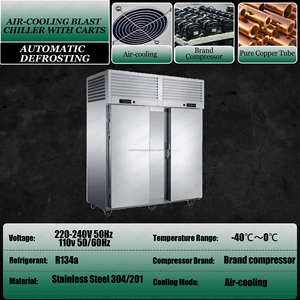 Congelador rápido de 30 bandejas con enfriamiento por aire para hoteles, almacenamiento en frío eficiente para pescado, camarones, carne y alimentos. - Product Image 3