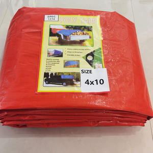 Étanche Pvc/poly <span class=keywords><strong>Toile</strong></span> Bâche <span class=keywords><strong>pour</strong></span> Camping Camion Camion Piscine Couverture Auvent Tente Stores Auvents En Plastique Modling Dessin Type - Product Image 5