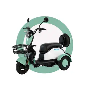 Triciclo eléctrico para adultos en motocicleta, volquete de carga, portador de tres ruedas, maceta pequeña, bicicletas de pavo, triciclos de entrega