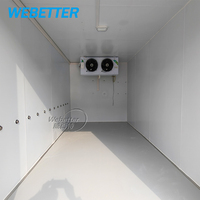 WEBETTER Nouvelle Conception Remorque Réfrigérée Mobile Chambre Froide Portable pour Stockage Alimentaire Hors Réseau