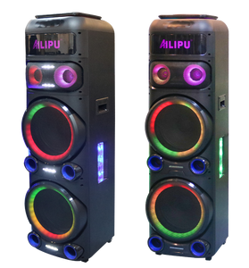 Altavoz de Karaoke OEM 2 X 12 con Pantalla LCD Grande, Altavoz Original para Fiestas con Eco y FM - Product Image 1