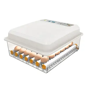 Low Price Fully Automatic 24 Egg Incubator Mini Egg Incubator