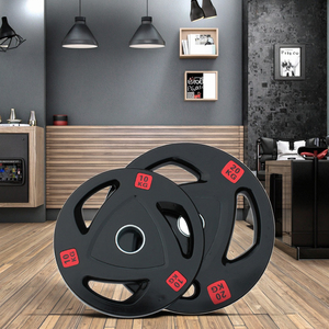 अनुकूलन योग्य लोगो त्रिकोणीय पकड़ वजन प्लेट रबर बम्पर कास्ट आयरन जिम उपकरण प्रभावी प्रशिक्षण के लिए - Product Image 3