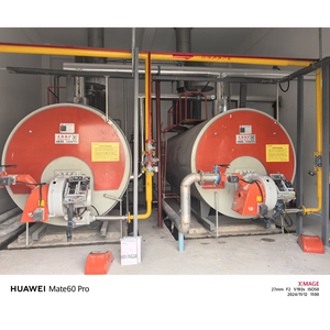 Caldera de Vapor Diésel WNS de 1 Tonelada y 70 HP, Presión de Trabajo de 10 Bares, Bajo <span class=keywords><strong>Consumo</strong></span> de Combustible, 65 kg/H, para Pequeños Talleres de Alimentos - Product Image 2