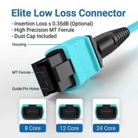 Kabel Patch Fiber Optik Wanbao Low Loss 12 Core OM3 Multimode MPO-MPO Aqua LSZH 3.0mm 40G 100G untuk Interkoneksi Pusat Data, Garansi 1 Tahun