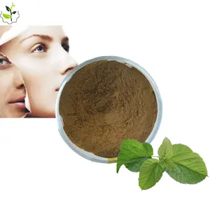 Hala Kosher GMP 1-dnj สารสกัดจากใบหม่อนอินทรีย์10% 1% 2% 3% 4% - Product Image 1