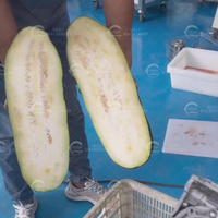Automatische watermeloen- en cantaloupe-halveermachine van roestvrij staal