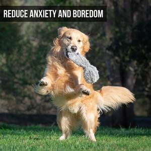 Juguetes interactivos para perros, juguetes interactivos para perros con vibración y Barks, 2 paquetes - Product Image 3