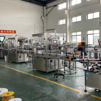 Ligne de remplissage et de bouchage automatique pour liquides et pâtes, pour bouteilles en plastique/verre de 50 à 1000 ml, machine de remplissage, de bouchage et d'étiquetage