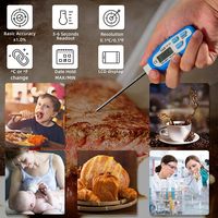 Termometer Daging Digital Genggam CEM DT-131 dengan Probe Stainless Steel, Waktu Reaksi 10 detik, Lampu Latar, Magnet, Akurasi 0.1C
