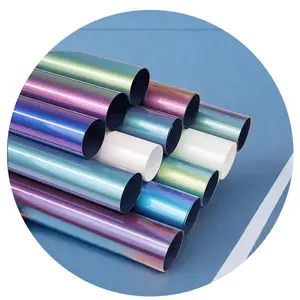 福建乙烯基供应商可重复使用的铁在变色龙更换热压Htv辊低温传热膜上的纺织铁