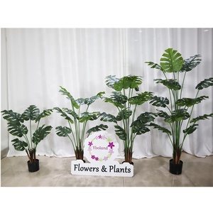 Fausse plante de serpent Faux Sansevieria Monstera plante artificielle arbre <span class=keywords><strong>Pot</strong></span> vert naturel doré canne palmier soie Ficus arbres artificiels - Product Image 6
