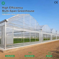 Serre commerciale multi-travées à arche, à faible coût, directement de l'usine, avec ventilation enroulable pour la culture de tomates et de légumes
