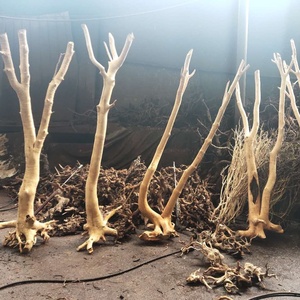 Aquariumplantenbak Natuurlijk Decoratief Drijfhout Rechte Wortel - Product Image 1