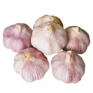 Aglio biologico sbucciato di alta qualità bianco fresco cinese aglio biologico alla rinfusa per uso alimentare - Product Image 6