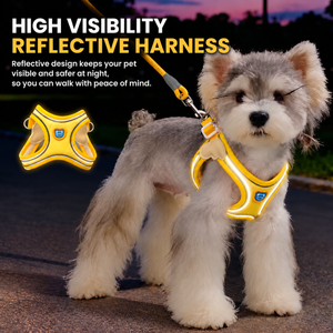 Ensemble Harnais et Laisse Réfléchissants pour Chien – Anti-Traction, Réglable, Gilet Rembourré, Laisse en Corde Tressée – Accessoires de Promenade pour Petits et Moyens Animaux - Product Image 3