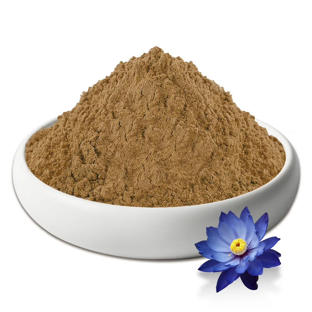 Hot Sale Product Pure Natural Blue Lotus Extract Powder 10: 1 Lotus Leaf Extract Powder