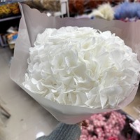 Vente flash - Décoration d'intérieur - Bouquet de fleurs d'hortensia séchées faites à la main - Différentes couleurs - Pour le hall d'hôtel