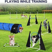 Spaß und einfache Outdoor-Agility-Trainings geräte Premium-Nylon-Hunde hindernis kurse für das Haustier training