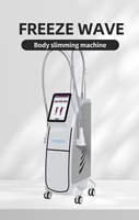 Machine Onda Pro FreezeWave à haute efficacité, technologie de vide multifonctionnelle, correction du double menton, remodelage corporel complet, collagène