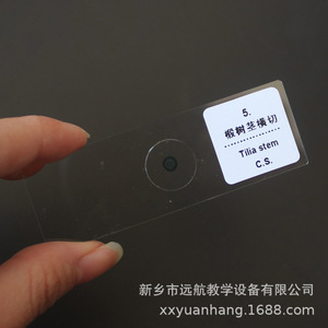 Experimental biological <b>microscope</b> specimen slides, 25 types of biological teaching materials, biological slide specimens - Product Image 3