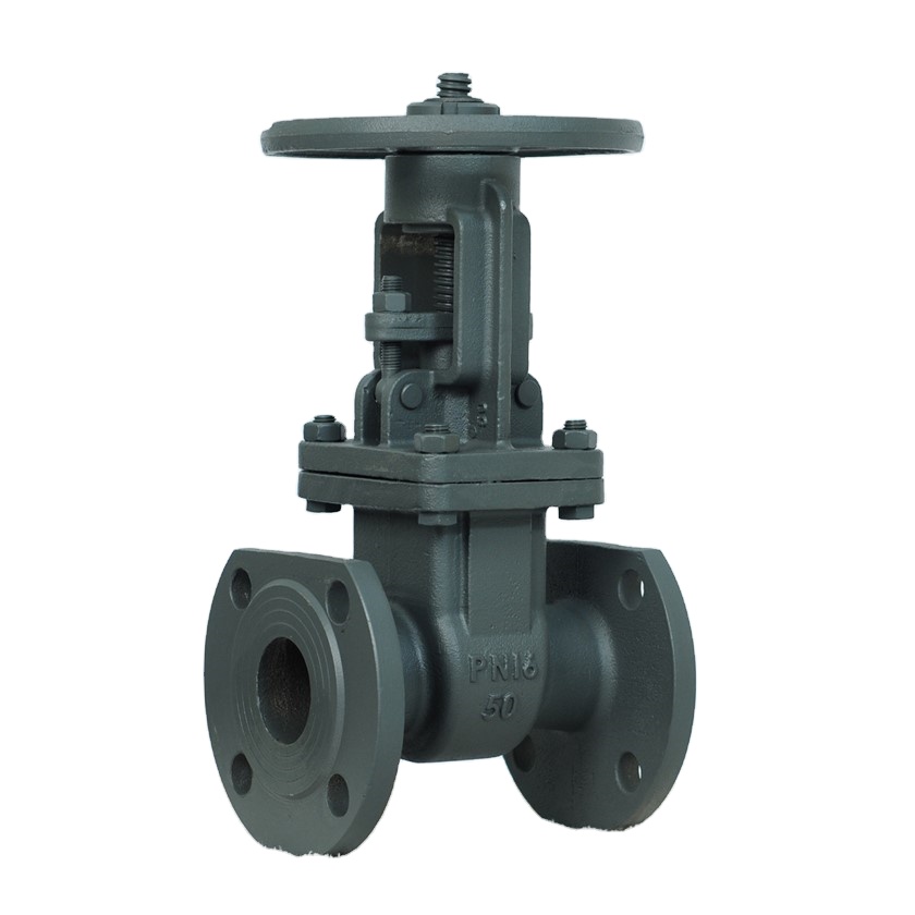 Baja Karbon PN16 Rus Baji WCB Russia Rus Gate Valve