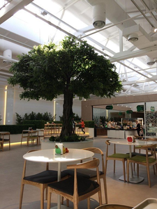 100% Handmade Chất Lượng Cao Tùy Chỉnh Sợi Thủy Tinh Lớn Giả Ficus Cây Lớn Nhân Tạo Banyan Cây Cho Nhà Hàng Trong Nhà Trang Trí Nội Thất - Product Image 6