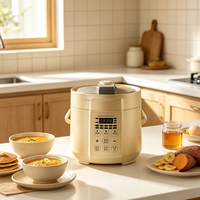 Mini-cuiseur à pression électrique 1,6 L compact multifonction pour la maison