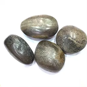 New product natural polished dinosaur bone fossil palm stone for decoration