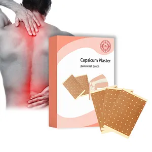 2023 Trending Products New Arrivals Plaster For Pain Relief Patch Supplier