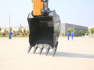 Excavatrice sur chenilles agricole XE300E de 30 tonnes 32 tonnes - Product Image 4