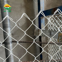 Barrière galvanisée de maillon de chaîne enduite de PVC de 8 pieds de haut 1.4mm-4.76mm