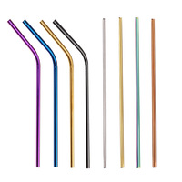 Paille métallique droit en acier inoxydable réutilisable, 4 pièces, avec pointes en Silicone