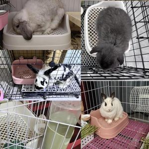 Double couche Lapins Pot Formation Litière Coin Boîte Petits Animaux <span class=keywords><strong>Toilette</strong></span> pour <span class=keywords><strong>Furet</strong></span> Cochon d'Inde Chinchilla - Product Image 6