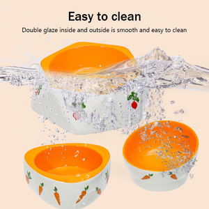 Kediler köpekler tavşanlar için özelleştirilebilir küçük boy seramik evcil hayvan kasesi dayanıklı kolay temizlenebilir besleyici - Product Image 4