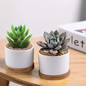 <span class=keywords><strong>Fioriera</strong></span> succulenta smaltata a cilindro per vaso di fiori con bambù Mini 3.15 pollici Simply Style bianco personalizzato <span class=keywords><strong>in</strong></span> ceramica contemporanea