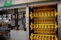 Équipement de ferme automatique pour poules pondeuses à 10000 étages
