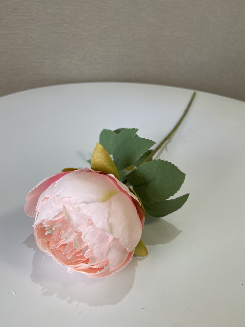 F