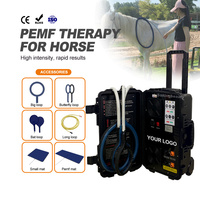Appareil de massage thérapeutique pour les sports équestres avec accessoires de physiothérapie pour la rééducation et l'entretien du bien-être des chevaux