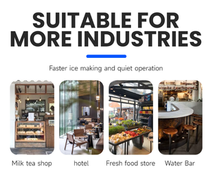 Dispensador de Jugos Comercial de Acero Inoxidable, Dispensador de Bebidas Frías de 16 Litros con un Solo Tanque, Enfriador de Plástico Transparente, Máquina de Jugos - Product Image 6