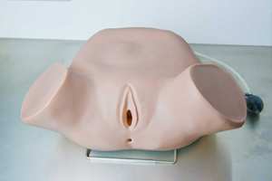 जी. डी./FW3 सामान्य डॉक्टर लियोपोल्ड की Maneuvers, गुदा और योनि महिला परीक्षा सिम्युलेटर - Product Image 4